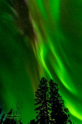 Northern Lights